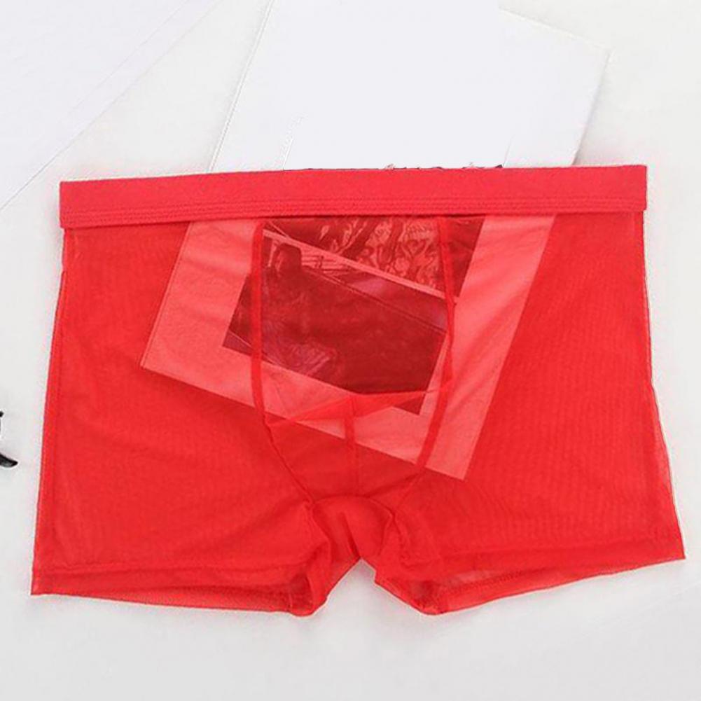 Transparent Boxers for Men See - Boxer Shorts Modal avis et prix