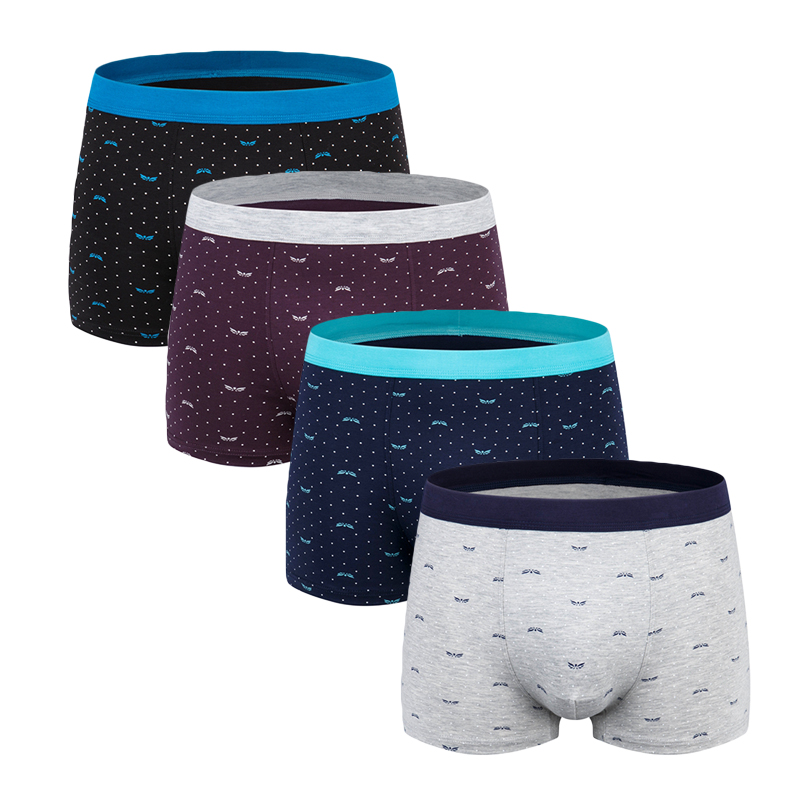 Men's Boxer Pantie Underpant L - Multi Pack Underwear avis et prix