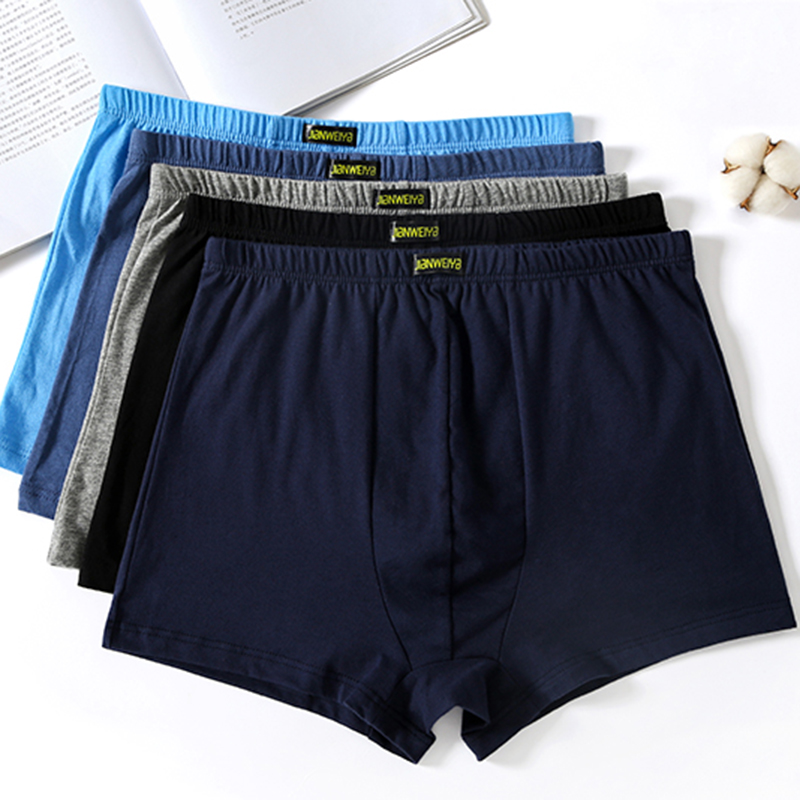Men's Boxer Pantie Underpant L - Multi Pack Underwear avis et prix