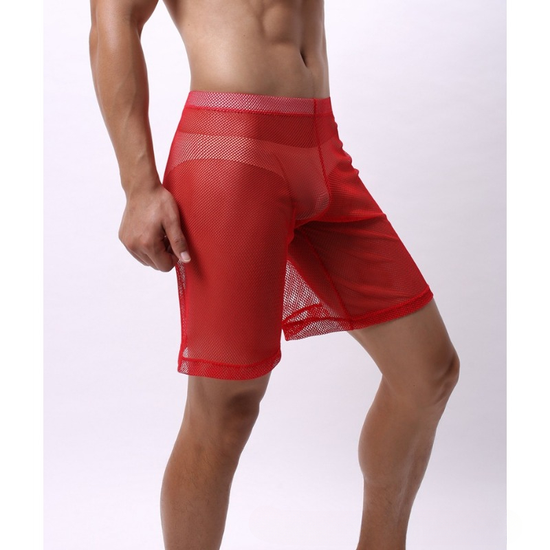 Low Rise Mesh Erotic Underwear - Pouch Boxer Pouch avis et prix