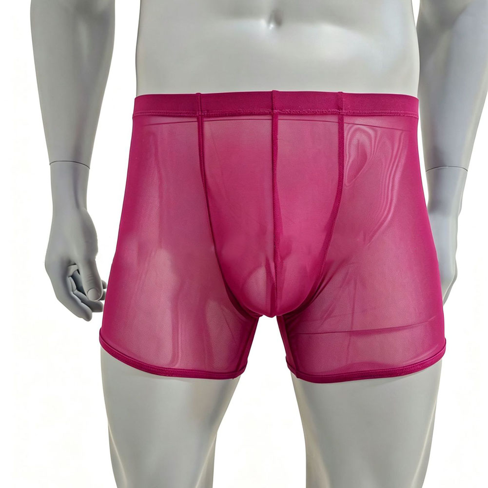 Men Mesh See-through Ultra-thi - Long Leg Trunk Men avis et prix