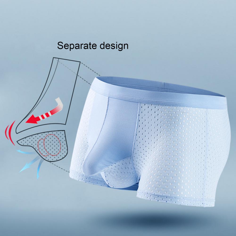 2025 M-3XL Men Boxers Elephant - Mesh Sport Boxer avis et prix