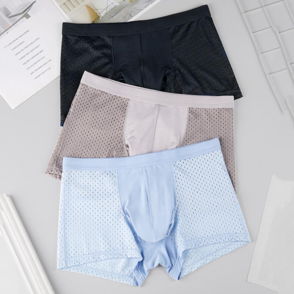 2025 M-3XL Men Boxers Elephant - Mesh Sport Boxer avis et prix