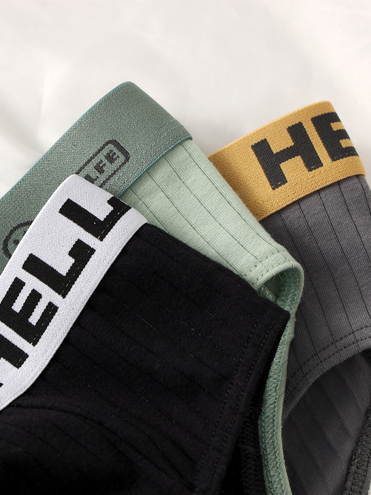 5-Pack Men's Cotton Briefs wit - Multi Pack Underwear avis et prix