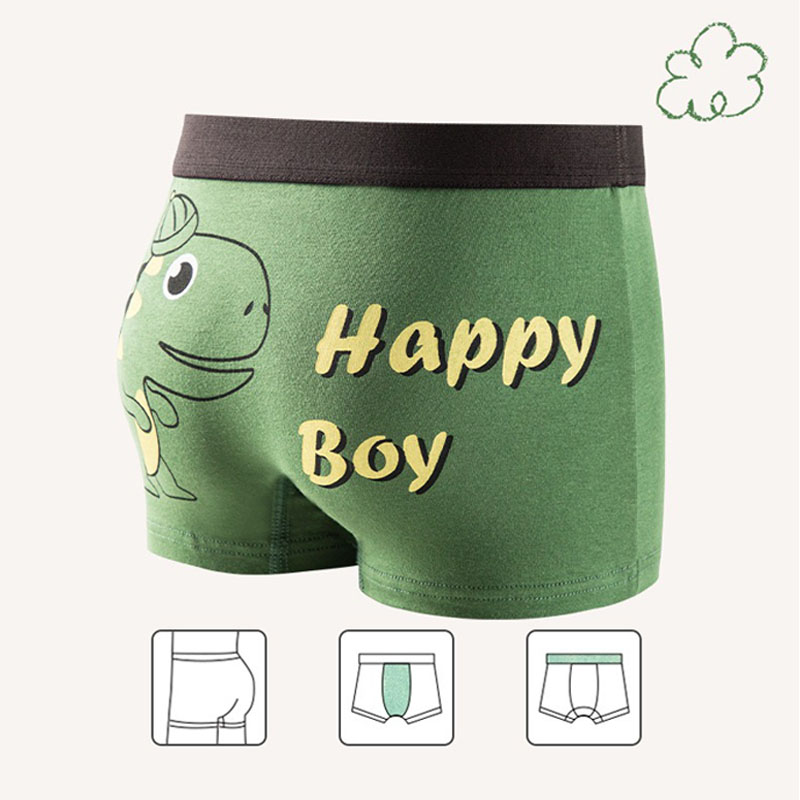 Little Boys' Cotton Boxer Brie - Boxer Brief Pack Cotton avis et prix