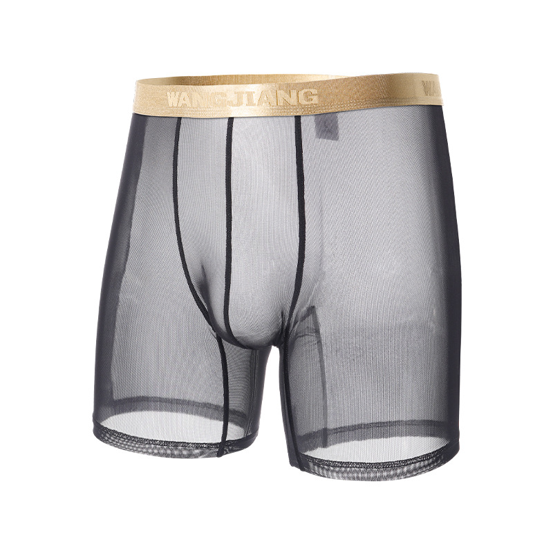 Wangjiang Men's Mesh Boxer Sho - Mesh Sport Boxer avis et prix